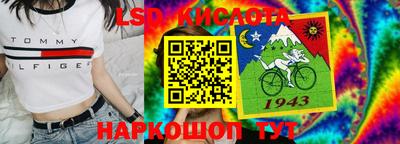 ECSTASY Ковров