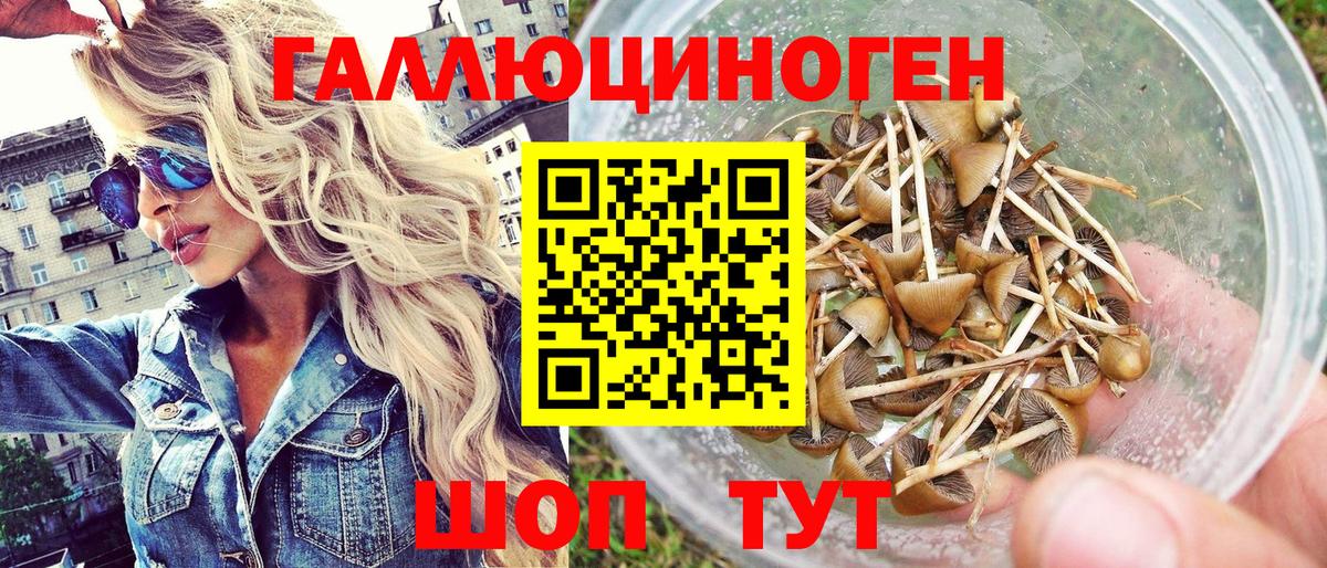 Галлюциногенные грибы Magic Shrooms Выборг
